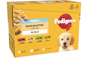 Pedigree Junior Wet Dog Food for Young Dogs and Puppies, 12 Pouches (12 x 100 g) - Packaging May Vary