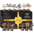 P&R:UK Crystal Tree Gift for Women - Set of 12 Handcrafted Tree of Life Chakra Healing Crystals & Stones for Positive Energy, Good Luck - Perfect Home and Office Decor - Birthday Gifts for Mom & Dad