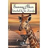 A Giraffe in Istanbul