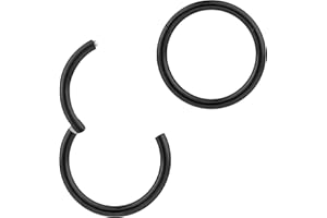 365 Sleepers Impianto in titanio di grado 20G 18G 16G 14G 12G 10G 8G Segmento Setto Naso Anello per labbro Cerchio Trago Elica Orecchino 6mm - 20mm Gioielli per piercing