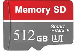 dolrun SD Karte 512 GB - Speicherkarte SD-Karte 512GB Externe Datenspeicher Mini SD Karte Memory Karte für Laptops, Kameras Android Handy