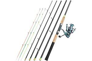 Sougayilang Feeder Canne à pêche portable avec 3 embouts 3000 tailles de moulinet, gamme complète d'action pour la carpe