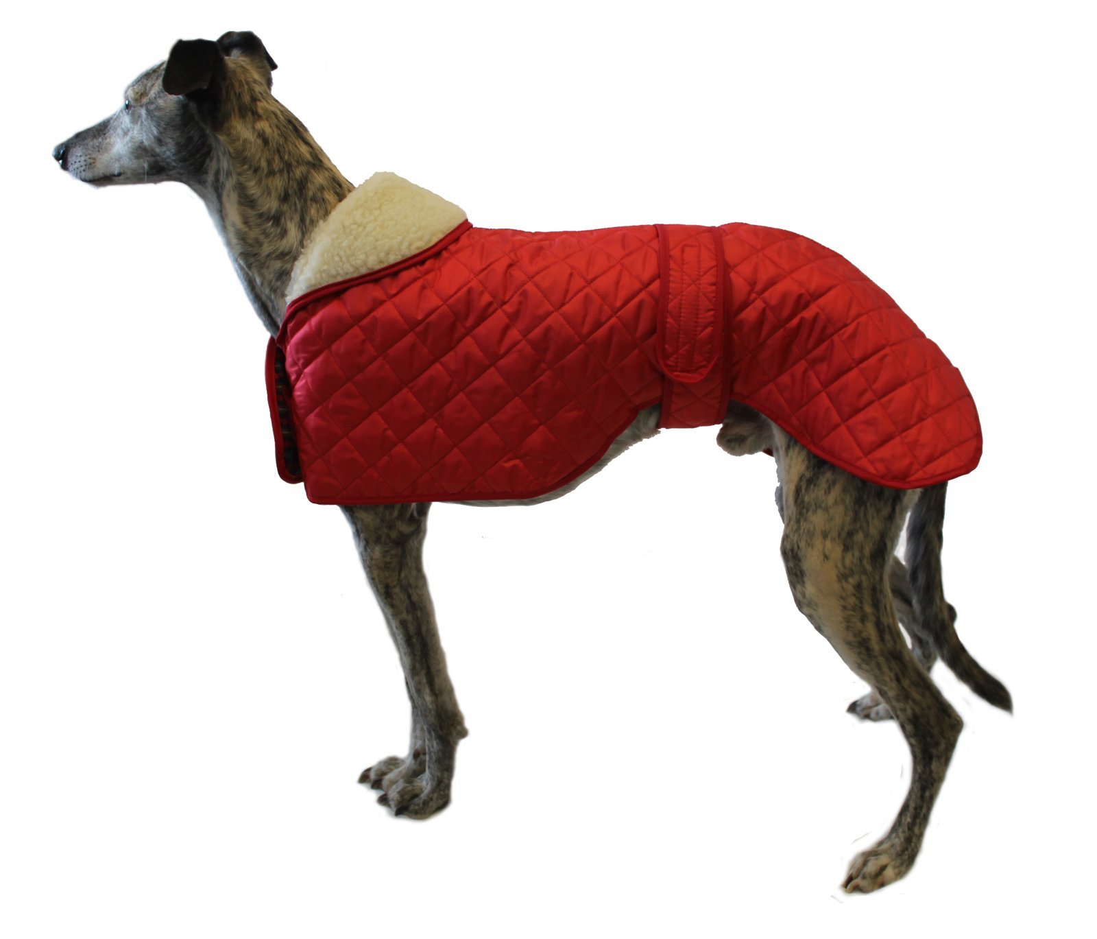 Cosipet Greyhound Anorak Nylon Coat, 66 cm, Red Dogs.co.uk