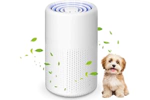 AONAT Purificateur d'air Chambre, H13 HEPA Purificateur éliminant de la poussière, de la fumée et des odeurs d'animaux, Air Purifier avec éponge parfumée, Air Purifier HEPA pour Maison Bureau