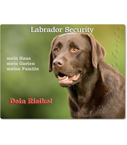 Panneau D'avertissement « The More I Know People The More I Love My Cat