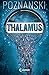 Thalamus by 