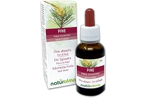 Pine eller Tall (Pinus sylvestris) Naturalma Emotionella blommor eller Bachblommor - 30 ml Flytande alkoholfritt extrakt i droppform - Blommessenser - Vegansk