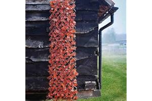 Garden Mile® 180 x 60cm Topiary Red Acer Leaves Artificial Leaf Trellis Spring and Summer Creeping Garden Decoration Faux Climbing Ivy Plants Vines (Red Acer Leaf)