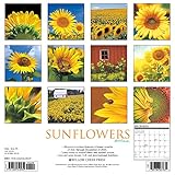 Image de Sunflowers 2017 Calendar