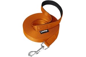 Loutep Laisse de dressage pour chiens de 3 m, 5 m, 10 m, 15 m, 20 m, 25 m, 30 m, corde en nylon robuste avec poignée rembourrée pour chiens de petite, moyenne et grande taille, pour promener, obéir et