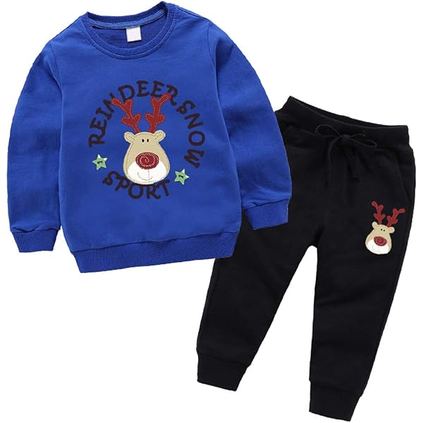 Sweat Dinosaure Enfant Garçon - Manches Longues Coton - Taille 2 à 7 Ans