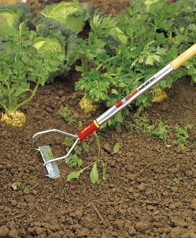 WOLF-Garten multi-star® Bügeljäter HO-M 15; 2352000 - 2