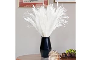 ‎APOMKJOE Pampasgras Getrocknet 55pcs Trockenblumen Weiße Deko Natürliche Trockene Blüten Strauß Für Badezimmer Deko Herbst Tischdeko und Heim Decor