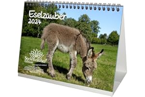 SEELENZAUBER Eselzauber Calendrier de table A5 pour 2024 Motif âne – Contenu : 1 calendrier, 1 carte de Noël et 1 carte de vœux (3 pièces au total)