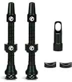Valve tubeless - Du choix et des prix