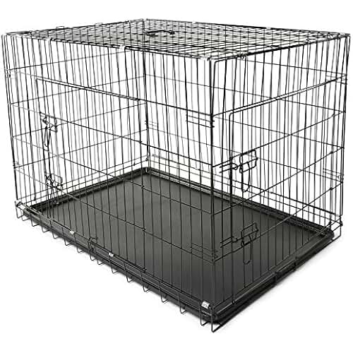Amazon.fr cage de transport pour perroquet