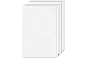 pangdapengpeng 6 Pezzi Pannelli di Plastica, 21 x 29,7 cm Polipropilene Rigida PS Bianco, Lastra Plastica 1mm per Modellismo, Architettura, Arte, Fai Da Te (Bianco)
