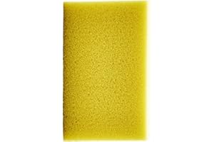 Sixtus Spugnetta Piedi