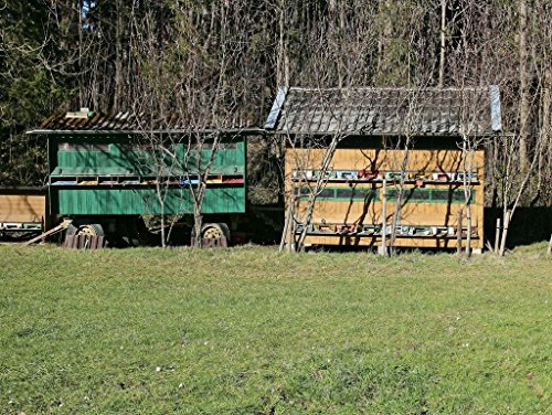 Preisvergleich Produktbild Lais Puzzle Bienenstöcke 100 Teile