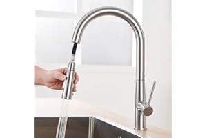 Auralum Rubinetto Lavello Cucina, Miscelatore Cucina con Doccetta Estraibile per Lavelli da Cucina, Rubinetti Cucina in Acciaio Inox con Bocca Alta, Girevole a 360°