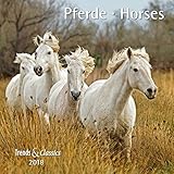 Pferde Horses 2018 - Broschürenkalender - Wandkalender - mit herausnehmbarem Poster - Format 30 x 30 cm by 