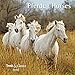 Pferde Horses 2018 - Broschürenkalender - Wandkalender - mit herausnehmbarem Poster - Format 30 x 30 cm by 