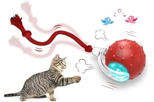 Giociv Interactive Cat Toys Ball for Indoor Cats Fast Rolling on Carpet, Chirping & Motion Activate Cat Toys