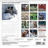 Image de Search and Rescue Dogs 2015: Search and Rescue Dogs at work