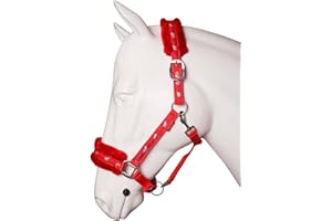 Equipride Licol rembourré en Nylon avec Laisse Assortie Rouge (COB)