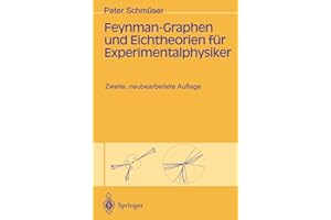 Feynman-Graphen und Eichtheorien für Experimentalphysiker