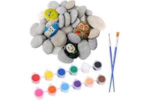 DELAIHUIL Steine Zum Bemalen Flach 20pcs Steine Bemalen Kieselsteine 4-6cm Gemalter Steine Zum Bemalen Dekosteine Glatte Große Kieselsteine Strand Kiesel Zierkies Kiesel Flache Kieselsteine Zum Basteln