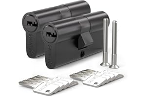 Bwintech 2 piezas alike 30/30 mm núcleo de latón europeo con llave, 60 mm cerradura núcleo de latón con 10 teclas de latón horizontales, anti recogida, anti colisión, superficie negra