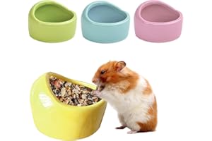 HOMURY 4 ciotole in ceramica per animali di piccola taglia – Ciotola per animali domestici, ciotole anti-morso per criceti e porcellini d'India