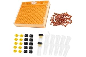 ZFFXH Système d'élevage de reines,Outils d'élevage de reines nicot,Matériel d'élevage pour abeilles apicoles