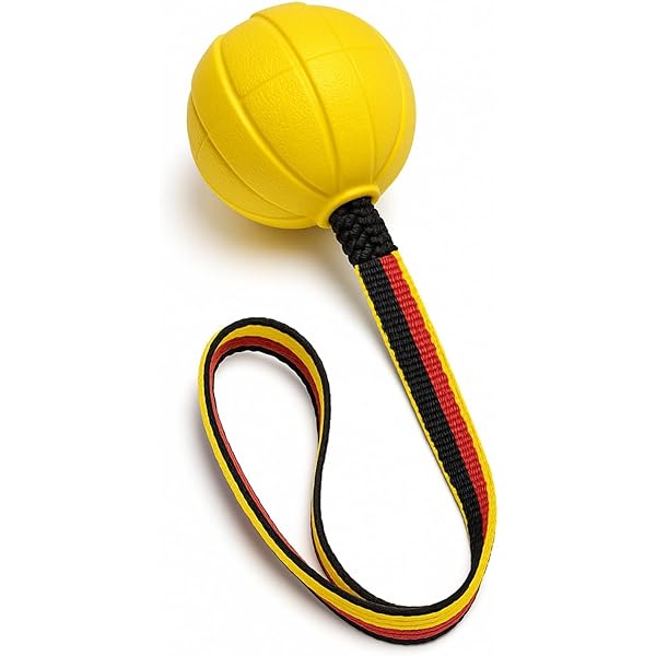 Ball For Dogs JOLLY PETS Tug-n-Toss Dog Toy, Purple, 8-in Ball 10