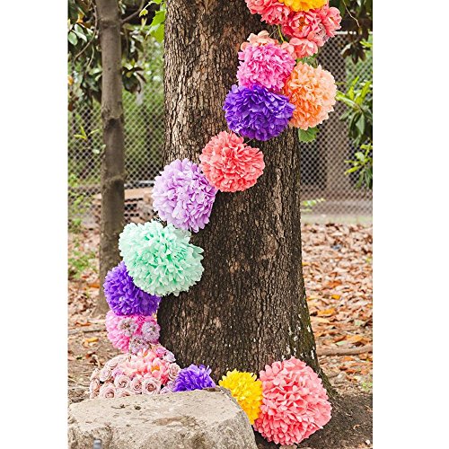 Coceca 18er Papier Pompoms Tissue PomPon 35.5cm, 30cm, 25.4 cm, geeignete Dekoration fuer die Geburtstagsfeier, die Hochzeit und die Babyparty - 6