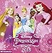 Disney Prinzessin Posterkalender quadratisch - Kalender 2018 by 