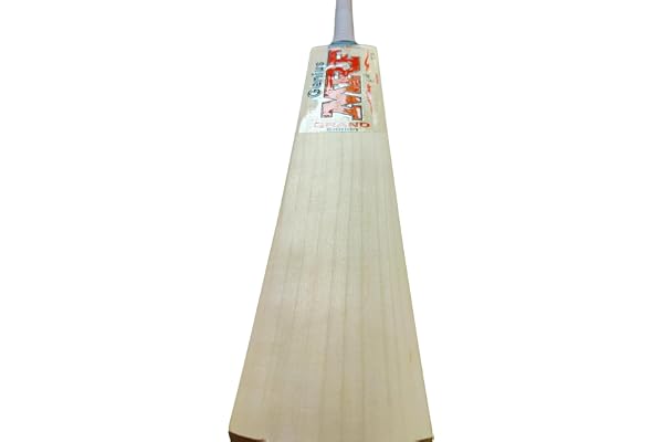 Willow Maste Raider VK Grand English Willow Cricket Bat for 12-14 Yrs (1 kg)