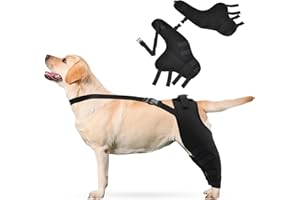 PETCUTE 2 Stück Hunde-Kniebandage für Zerrissene ACL,Kniestütze für Hunde,Beinstütze bei Bandverletzungen,Verstellbare Kniepolster für Haustiere Starke Stabilität Schutz der Hinterbeine für Hunde