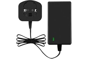 Exmate Chargeur 18V pour Batterie Ryobi P108 One+ 18V au Lithium (Pas pour Les Piles Ni-MH/Ni-CD)