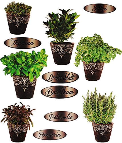 16 tlg. Set _ XL Wandtattoo / Sticker – “ Kräuter / Küchenkräuter & Lavendel “ – Wandsticker – Aufkleber für Kinderzimmer – selbstklebend + wiederverwendbar – Kinder & Erwachsene – Kinder – Wandaufkleber – Postersticker – Deko – Küche mediterane Dekoration – Poster – Tattoo - 4
