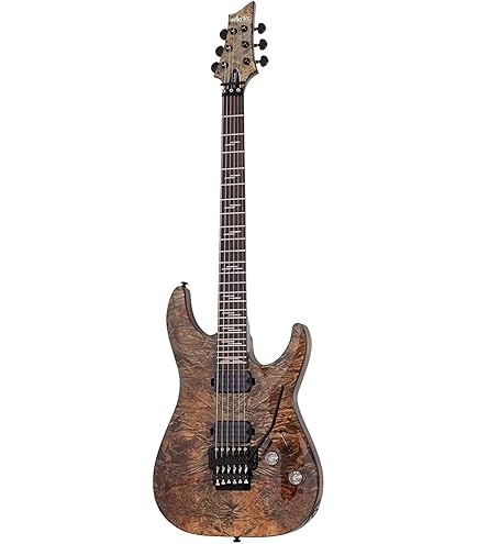 Schecter Hellraiser C-1 Floyd Rose-S BCH : Amazon.in: Musical