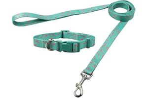 Olahibi Polyester Dog Collar Leash Set,Green Flamingo Pattern Collar and 150CM Matching Lead for Small Dogs.(S, Green Flamingo Set)