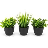 3&rsquo;l&uuml; Mini Yapay &Ccedil;i&ccedil;ek Sukulent Seti, Saksılı Yapay Sukulent Bitki, Dekoratif Masa&uuml;st&uuml; Mini Bitkiler, Ev ve Ofis Dekoru, 8 cm 