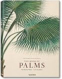 XL-MARTIUS BOOK OF PALM by 