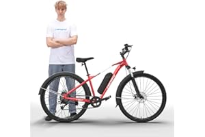 E MOTORAD - RIDE THE ELECTRIC REVOLUTION EMotorad T-Rex Air | Bicicleta Eléctrica de Montaña para Adultos | Neumáticos 29x2.4 | Motor 36V 250W | Batería Extraíble 13Ah | Suspensión Delantera 100mm