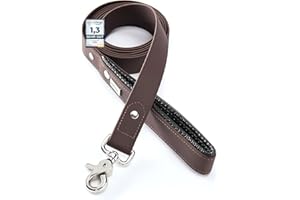 PetTec Guinzaglio per Cani - Guinzaglio Addestramento con Impugnatura Imbottita, Materiale Trioflex a 3 Strati Intrecciati, Impermeabile - Moschettone e Gancio in Acciaio Inossidabile - 2m, Marrone