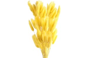 ROOBZE Pampas decorative Rabbittail fiori secchi decorativi 50 pezzi Count Natural fiori secchi decorativi Bouquet, Decorazione camera da letto fiori secchi Indoor Wedding Home Decor (Giallo)