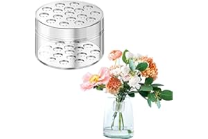 Quixotical Spiral Ikebana Stem Holder, Twist Flower Arrangement Holder, Ikebana Stem Holder, DIY Bouquet, Transparent, Flower Stem Holder for Flower Vases (L)