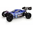Amewi 22031 - Buggy Booster 2,4 GHz M 1:10 RTR (farblich sortiert)